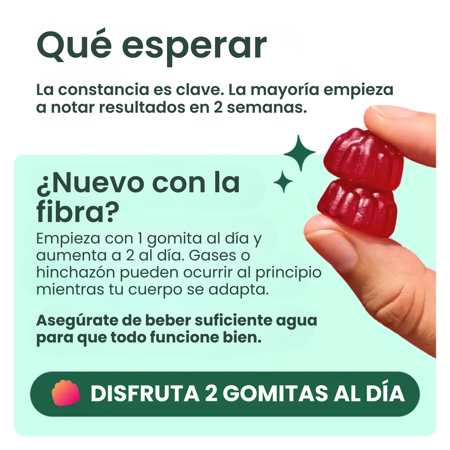 Gomitas de Fibra Prebiótica