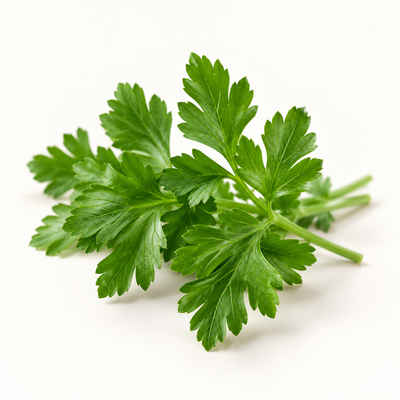 Hoja de Perejil Orgánico