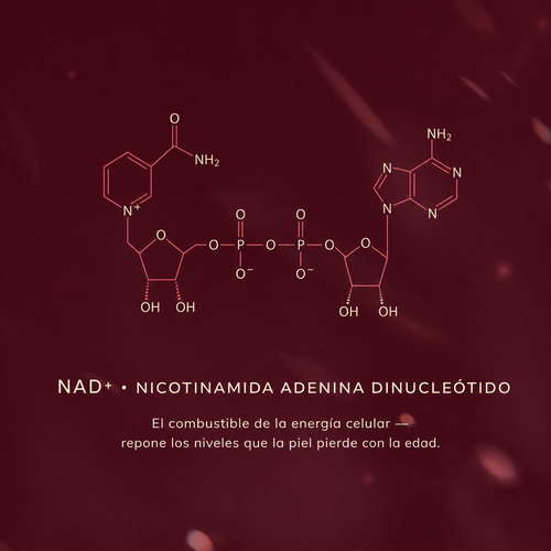 Sérum NAD+ Reafirmante